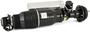 Arnott Air Suspension Air Strut