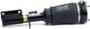 Arnott Air Suspension Air Strut