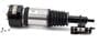 Arnott Air Suspension Air Strut