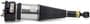 Arnott Air Suspension Air Strut