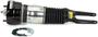 Arnott Air Suspension Air Strut