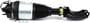 Arnott Air Suspension Air Strut