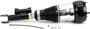 Arnott Air Suspension Air Strut