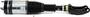 Arnott Air Suspension Air Strut