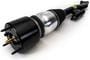 Arnott Air Suspension Air Strut