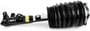 Arnott Air Suspension Air Strut
