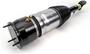 Arnott Air Suspension Air Strut