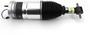 Arnott Air Suspension Air Strut