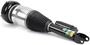 Arnott Air Suspension Air Strut