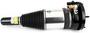 Arnott Air Suspension Air Strut