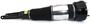 Arnott Air Suspension Air Strut