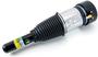 Arnott Air Suspension Air Strut
