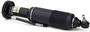 Arnott Air Suspension Strut