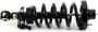 Arnott Air Suspension Strut And Coil Spring Assembly