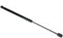Autotecnica Hood Lift Support