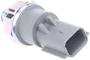 Autotecnica Oil Pressure Switch