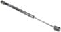 Autotecnica Hood Lift Support