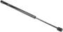 Autotecnica Hood Lift Support