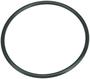 Autotecnica Fuel Pump Seal