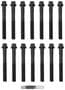 Beck/Arnley M11 Thread 12-Point Head Bolt Set