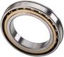 National Multi-Purpose Bearing