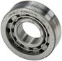 National Multi-Purpose Bearing