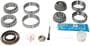 National Differential Bearing And Oil Seal