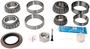 National Differential Bearing And Oil Seal