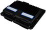 Blue Streak Electronics Engine Control Module
