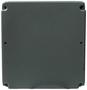 Blue Streak Electronics Engine Control Module
