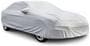 Budge Gray Polyester Car Cover