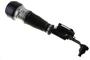 Bilstein B4 OE Replacement Air Suspension Strut