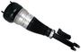Bilstein B4 OE Replacement Air Suspension Strut