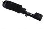 Bilstein B4 OE Replacement Air Suspension Strut