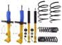 Bilstein B12 (Pro-Kit) Suspension Kit