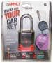 Bolt Lock Padlock