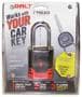 Bolt Lock Padlock