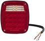 Buyers Products Company Combination Light