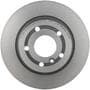 Brembo Rear Brake Rotor