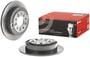 Brembo Rear Brake Rotor