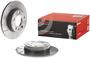 Brembo Rear Brake Rotor