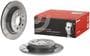 Brembo Rear Brake Rotor