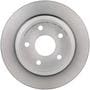 Brembo Rear Brake Rotor