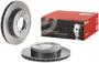 Brembo Rear Brake Rotor