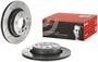 Brembo Rear Brake Rotor