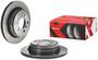 Brembo Rear Brake Rotor