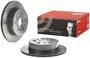 Brembo Rear Brake Rotor