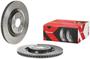 Brembo Rear Brake Rotor