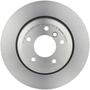 Brembo Rear Brake Rotor