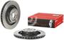 Brembo Rear Brake Rotor